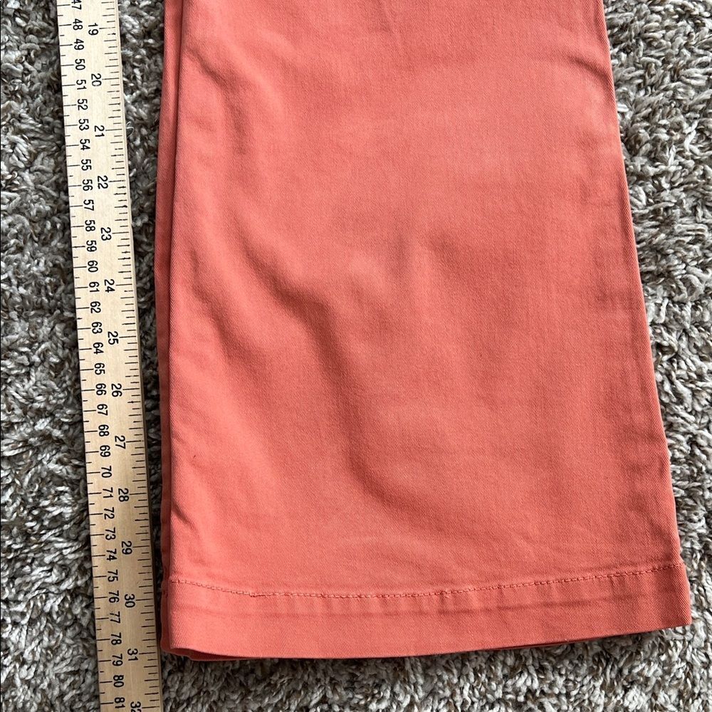 Like New! Paloma Wool Margherita Pants High Waisted in Coral in Size 36 - Picture 14 of 15